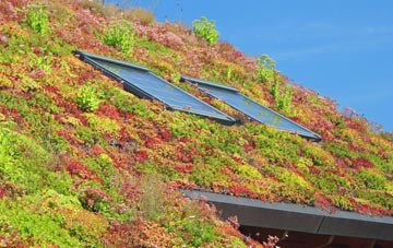 Aston Rowant living roof systems